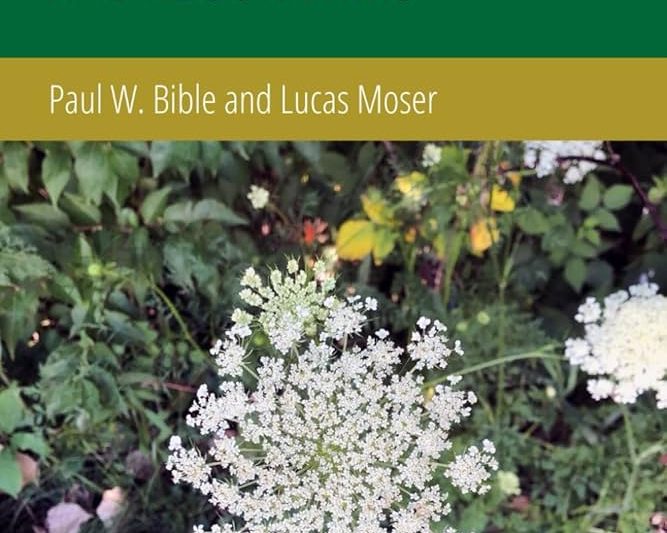 An Open Guide to Data Structures and Algorithms