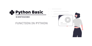 Function in Python