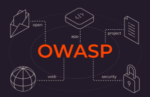 What is owasp top 10